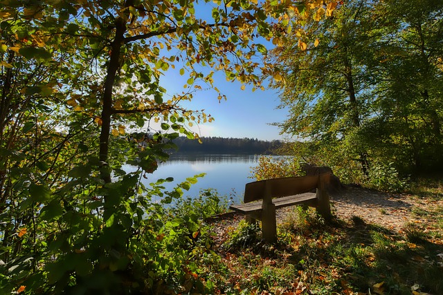 现奇迹的力 现奇迹的力