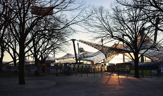 提前离场 提前离场